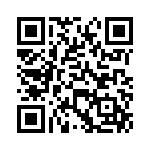 VG95234A181SN1 QRCode