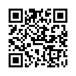 VG95234B2321PN QRCode