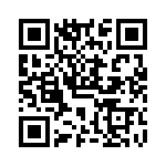 VG95234DH20-2 QRCode