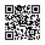 VG95234DH22-1 QRCode