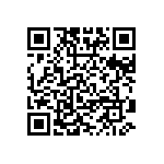 VG95234E-16-10SW QRCode