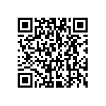 VG95234N1-22B22SN QRCode