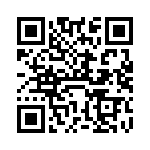 VI-B2K-IX-B1 QRCode