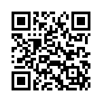 VI-B2R-EY-B1 QRCode