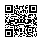 VI-B3K-EV-F4 QRCode