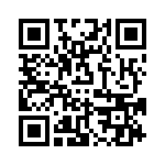 VI-B3T-EV-B1 QRCode