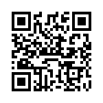 VI-BNR-EV QRCode