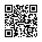 VI-J13-IX-B1 QRCode