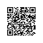 VJ0402D3R9DXBAP QRCode