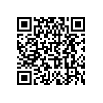 VLMB41P2Q2-GS08 QRCode