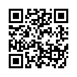 W33-S4B1Q-20 QRCode