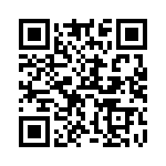 W33-T1N1Q-10 QRCode