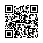 WM8941GEFL-V QRCode