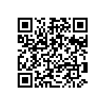 XCV300E-6FG256I QRCode