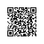 XQERED-H0-0000-000000501 QRCode