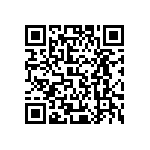 XQERED-H2-0000-000000302 QRCode