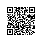 Y11211K20000T13R QRCode