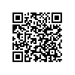 Y11212K80000T0R QRCode