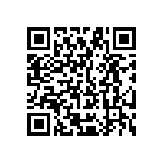 Y11691K20000B13R QRCode