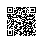 Y11691K20000T9R QRCode