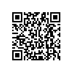 Y11691K25000B9L QRCode