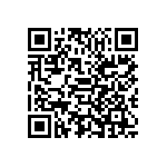 Y150810K0000TR13L QRCode