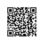 Y16241K20000T0W QRCode