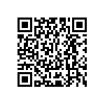 Y16241K65000Q0W QRCode