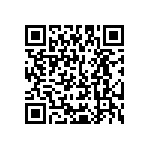 Y16242K20000T99W QRCode