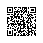 Y16244K99000T24R QRCode