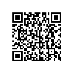 Y16251K11570T9R QRCode