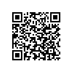 Y16251K25000T0W QRCode