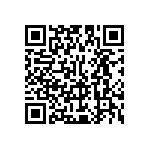 Y16252K29100Q0R QRCode