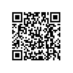 Y16256K81000T9W QRCode