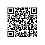 Y169010R0000B9L QRCode