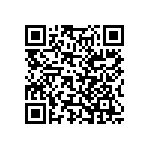 Y169010R0000D0L QRCode