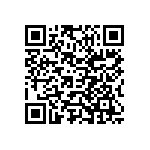 Y17451K13000Q2R QRCode