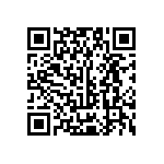 Y17451K33000T0L QRCode