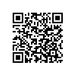 Y17451K42000T0R QRCode