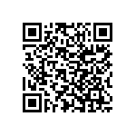 Y17453K30000T9L QRCode