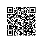 Y17459K10000T9L QRCode