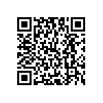 Y17463K84504T9L QRCode