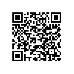 Y17463K95921B9R QRCode