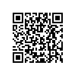 Y404710K0000T19W QRCode