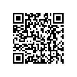 Y4078465R150T9L QRCode