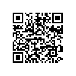 YB25RKG01-5D12-JB QRCode