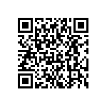 YB25WSKW01-5D-JD QRCode