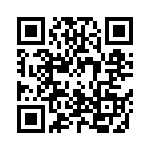 02013A0R8BAT2A QRCode