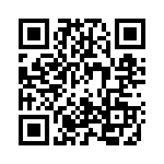 0204291 QRCode