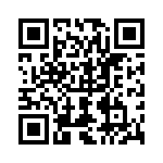 0287020-H QRCode